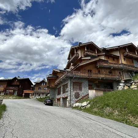 Pour 10 Pers. A Plagne Soleil Avec Animaux Admis - Fr-1-351-82 La Plagne